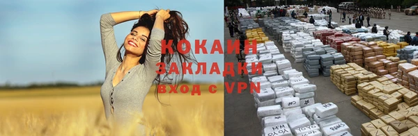 хмурый Каменка