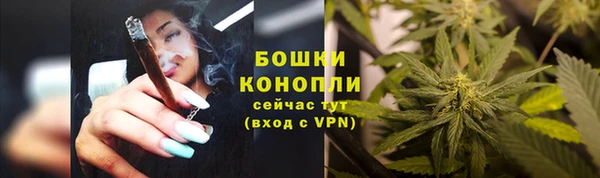хмурый Каменка
