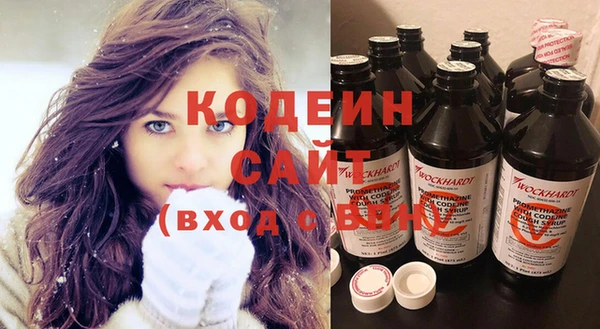 хмурый Каменка