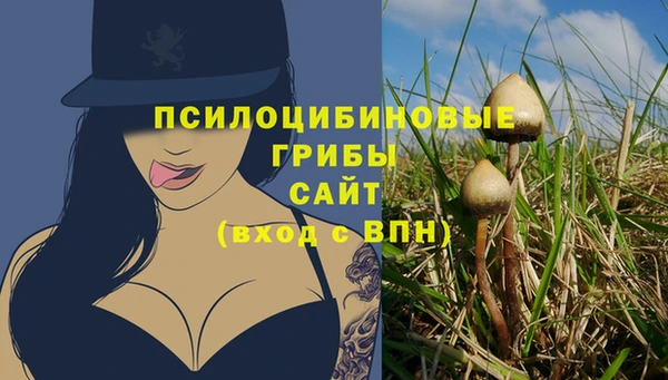 хмурый Каменка