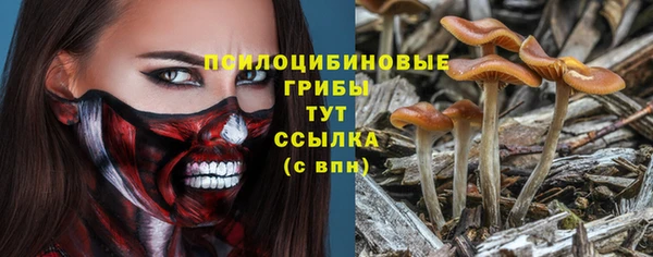 COCAINE Каменск-Шахтинский