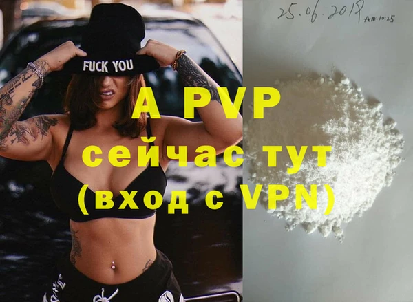 хмурый Каменка