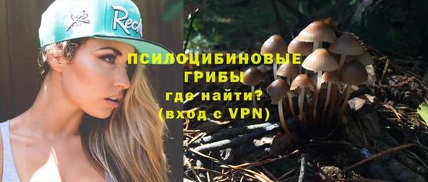 хмурый Каменка