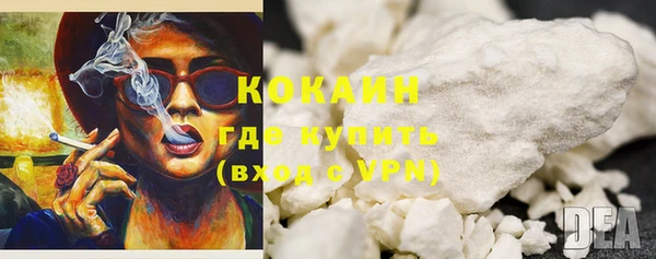 хмурый Каменка